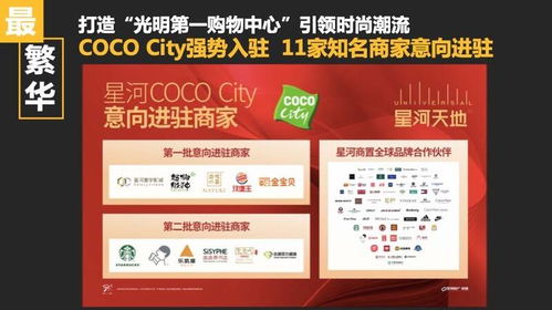 深圳光明商辦產(chǎn)品深度解析 專業(yè)人士眼中的價值與物業(yè)管理